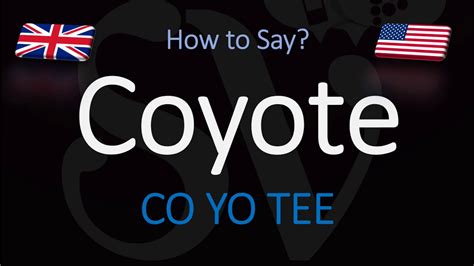 COYOTE的发音。怎么说coyote。听英语音频发音。了解更多。 